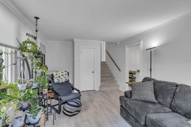 living room featuring ornamental molding and light wood-type flooring