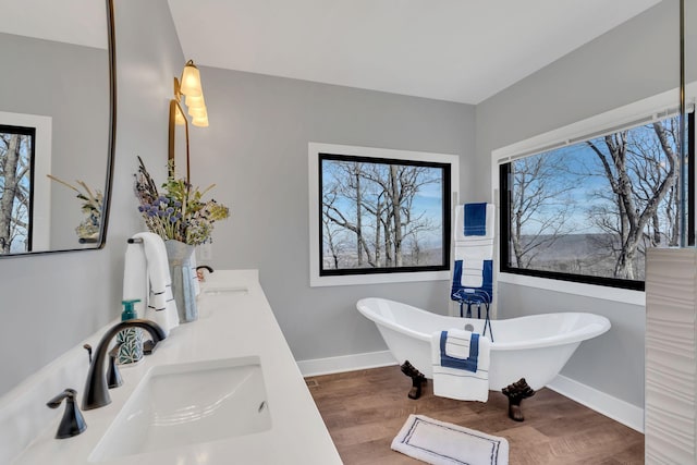 bathroom featuring wood-type flooring, a bathing tub, and vanity