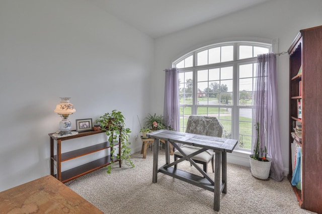 office featuring light carpet