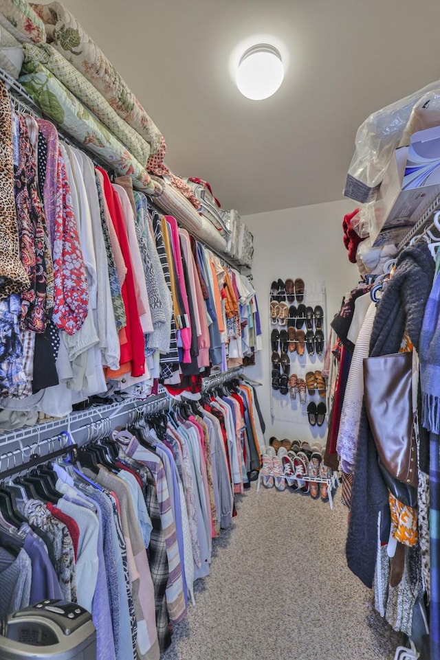 walk in closet with carpet floors