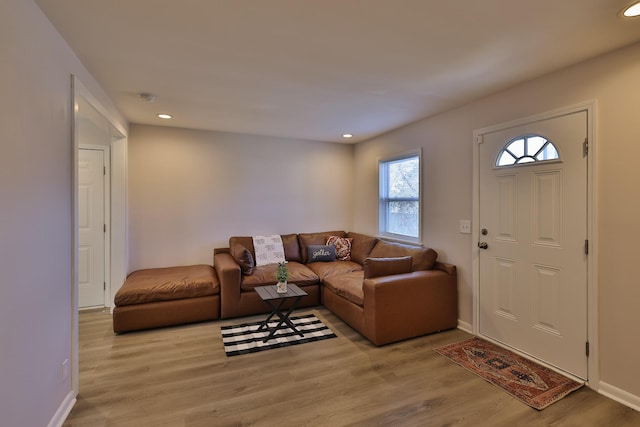 living room featuring light hardwood / wood-style flooring