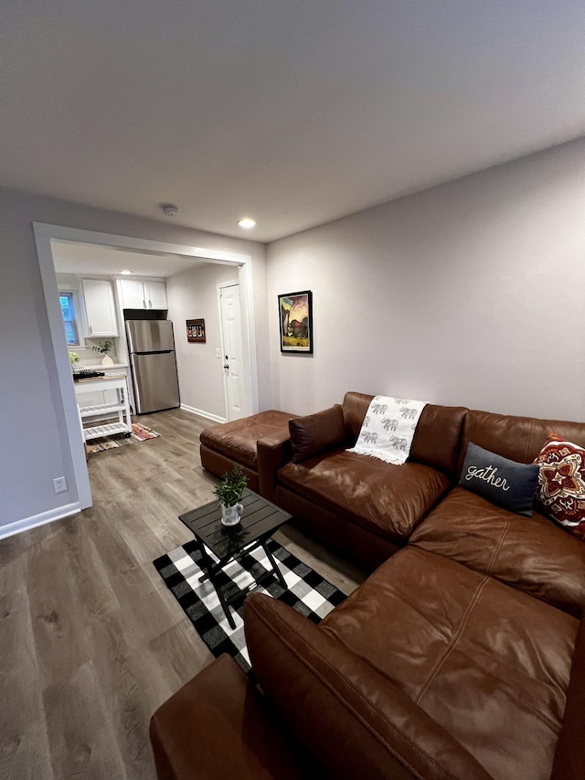 living room featuring hardwood / wood-style flooring