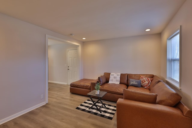 living room with light hardwood / wood-style flooring