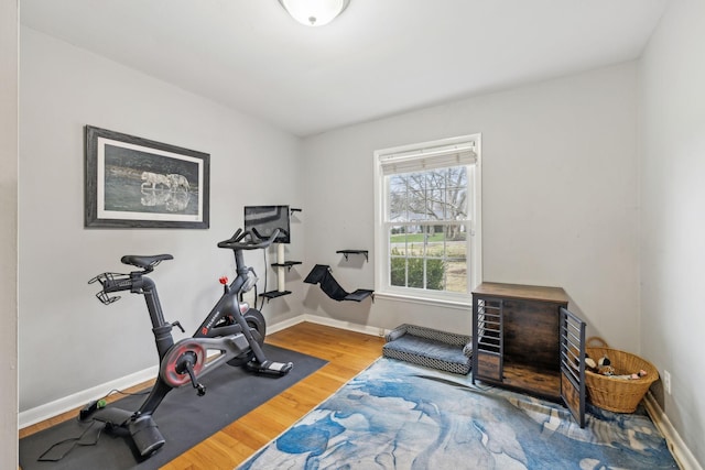 workout room with hardwood / wood-style flooring