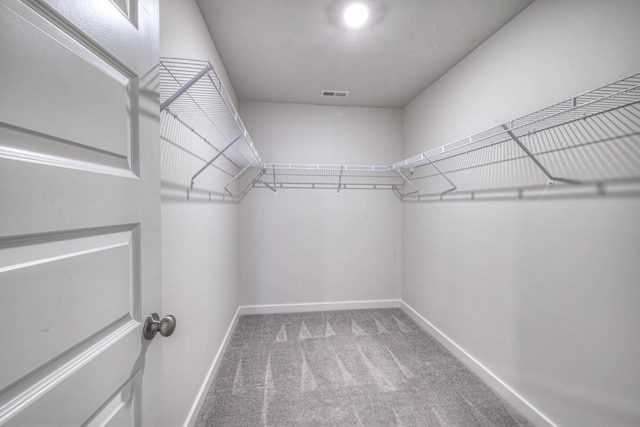 spacious closet featuring carpet flooring