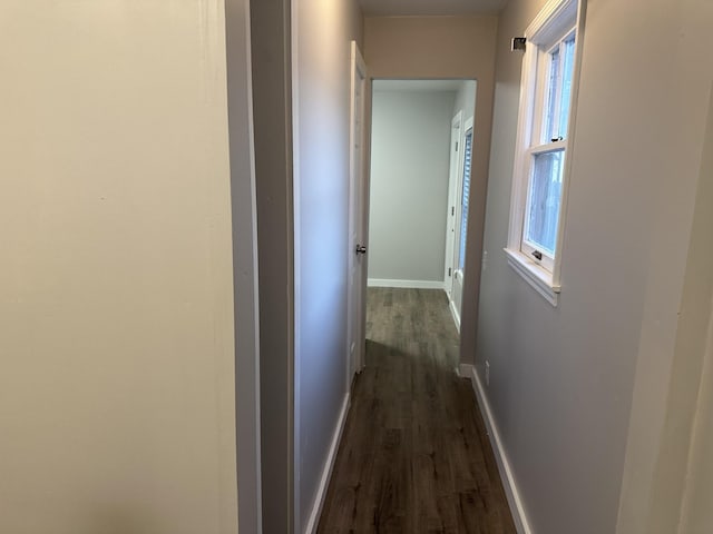 hallway featuring dark hardwood / wood-style flooring and a wealth of natural light