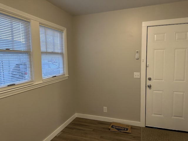 foyer entrance featuring plenty of natural light and dark hardwood / wood-style floors