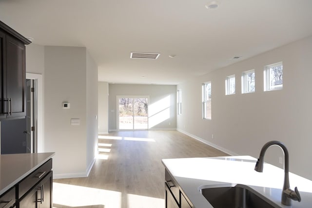 kitchen with light hardwood / wood-style floors and sink