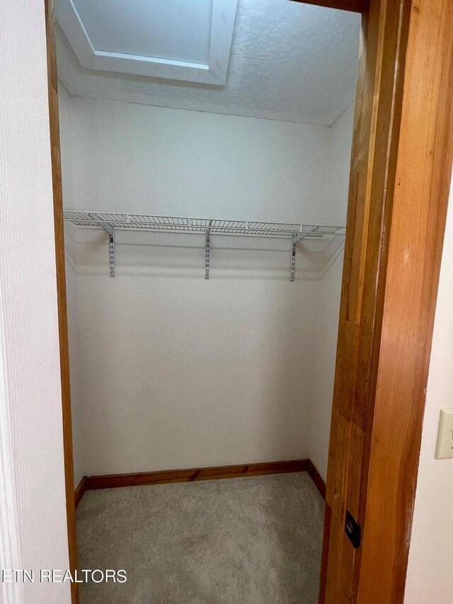 869 Betty Ln, Sparta, TN 38583 - photo 31
