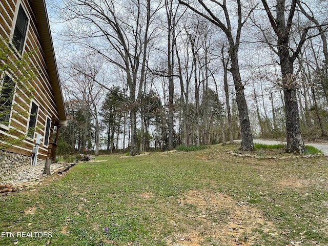869 Betty Ln, Sparta, TN 38583 - photo 5