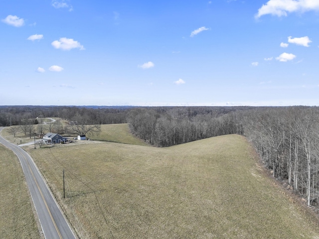 Listing photo 3 for 0 Clemons Ridge Rd, Silver Point TN 38582