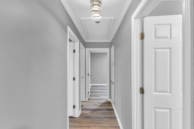 hall featuring hardwood / wood-style floors and crown molding