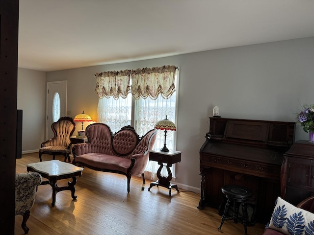 living room with light wood-type flooring