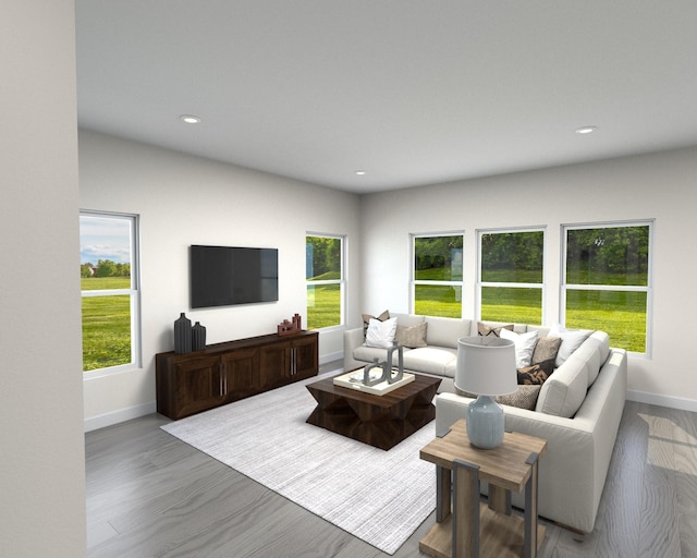 living room featuring wood-type flooring