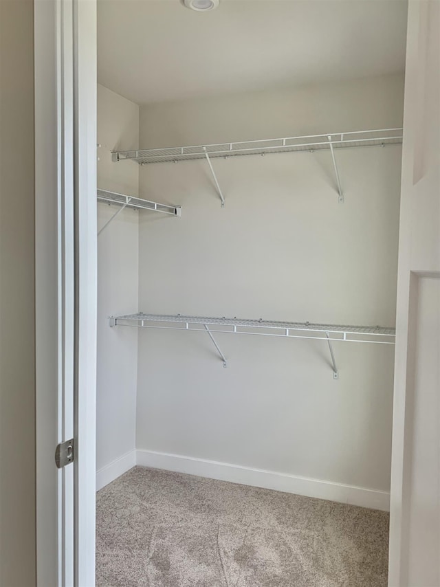 walk in closet featuring carpet