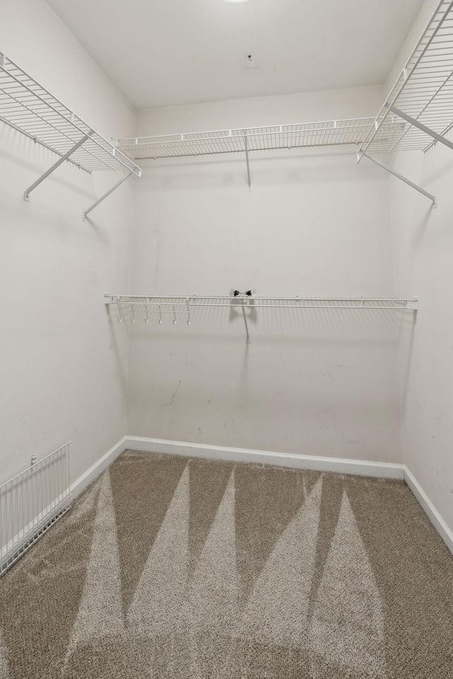 spacious closet with carpet flooring