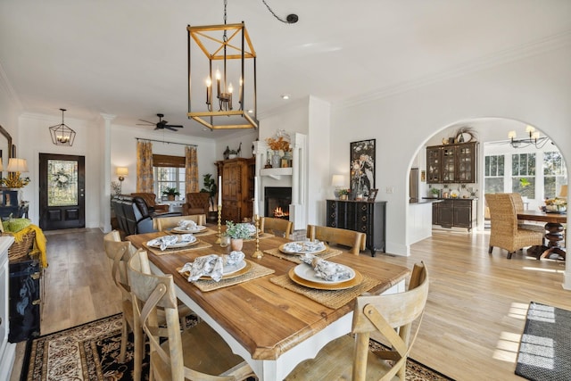 dining room featuring crown molding, ceiling fan with notable chandelier, and light wood-type flooring