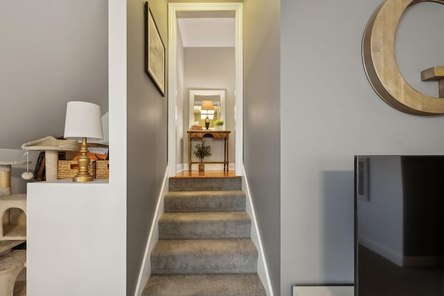 stairway featuring crown molding and carpet