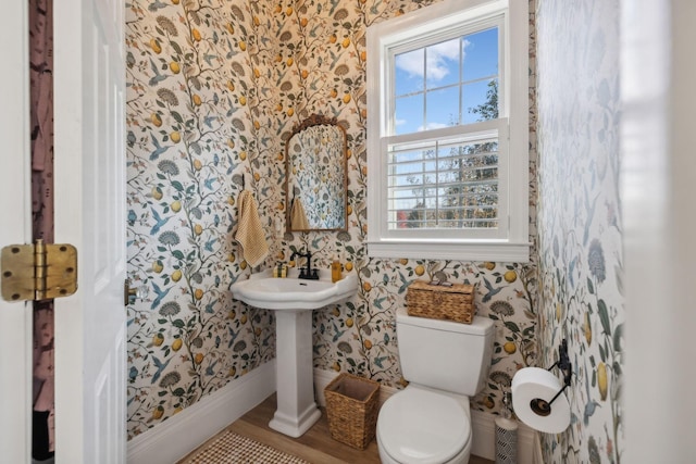 bathroom featuring wood-type flooring and toilet