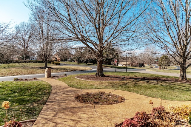 view of community featuring a yard