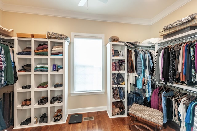 spacious closet featuring ceiling fan and wood-type flooring