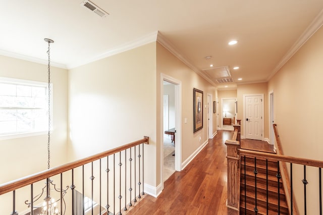 corridor featuring ornamental molding and dark hardwood / wood-style floors