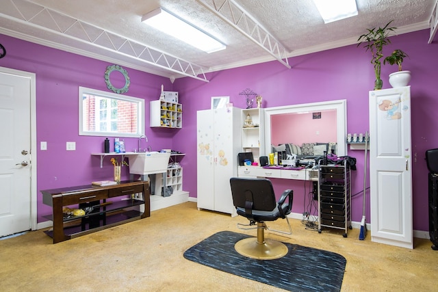 carpeted office with crown molding and a textured ceiling