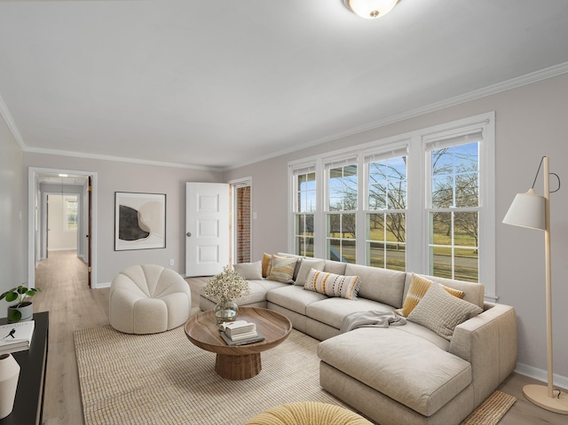 living room with crown molding, plenty of natural light, and light wood-type flooring