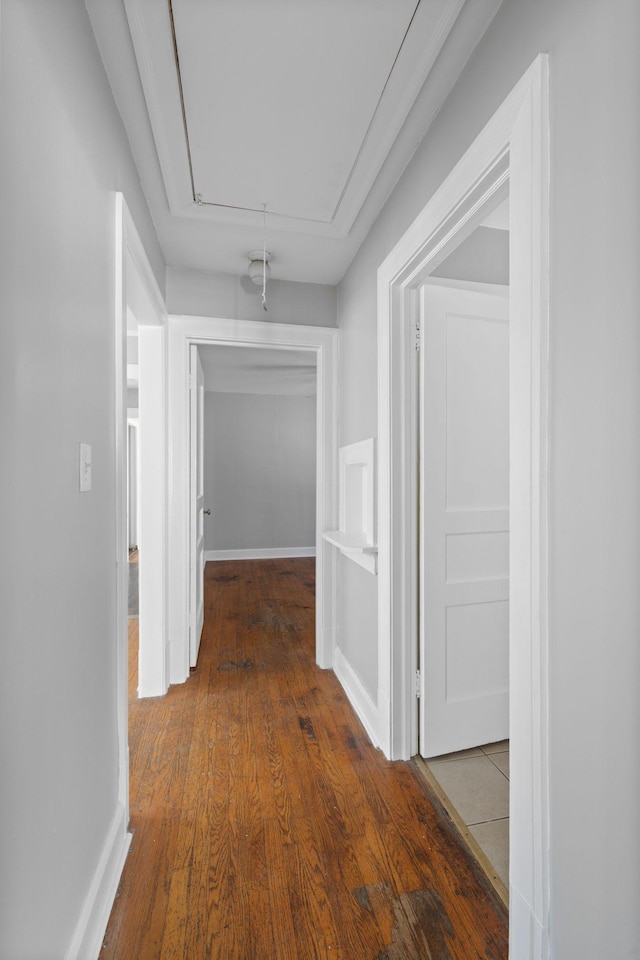 hall featuring hardwood / wood-style flooring