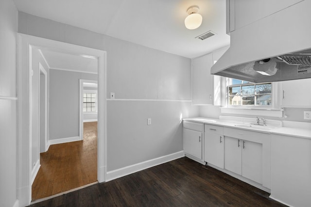 kitchen featuring sink, plenty of natural light, white cabinets, and island exhaust hood