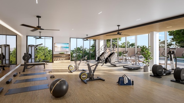 exercise room with wood-type flooring, ceiling fan, and a wall of windows