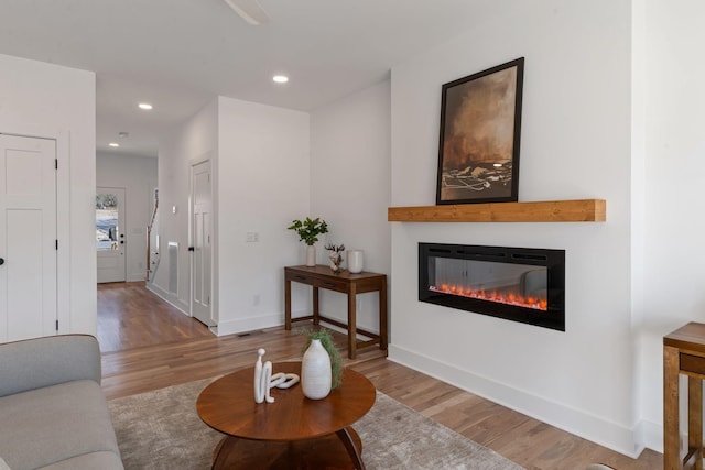 living room with wood-type flooring