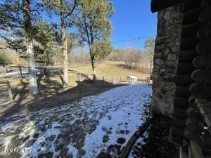 view of snowy yard