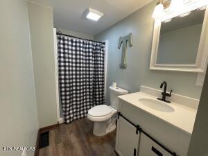 bathroom with vanity, wood-type flooring, and toilet