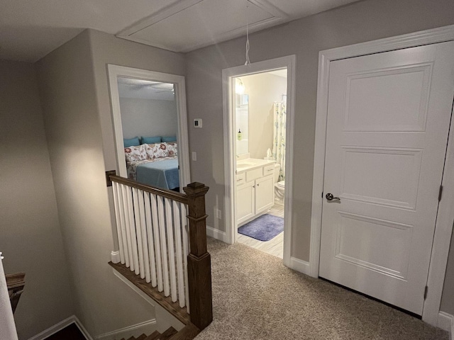 corridor with carpet floors