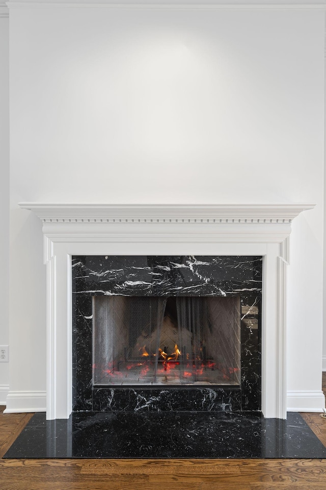 room details with wood-type flooring and a premium fireplace