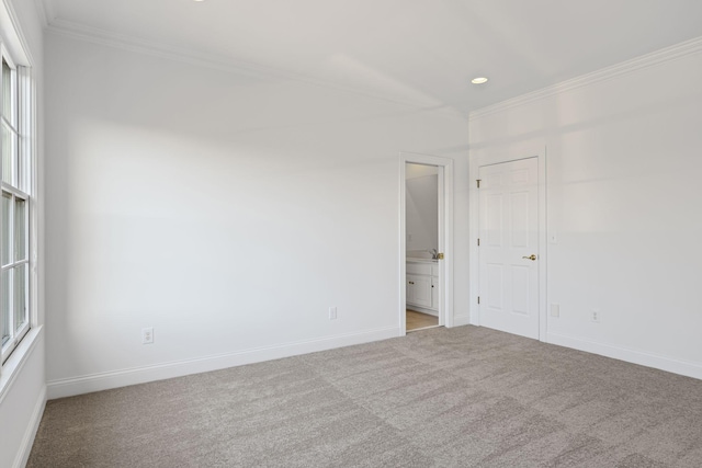 spare room featuring crown molding and light colored carpet