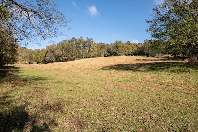 1 Whitesell Rd, Culleoka, TN 38451