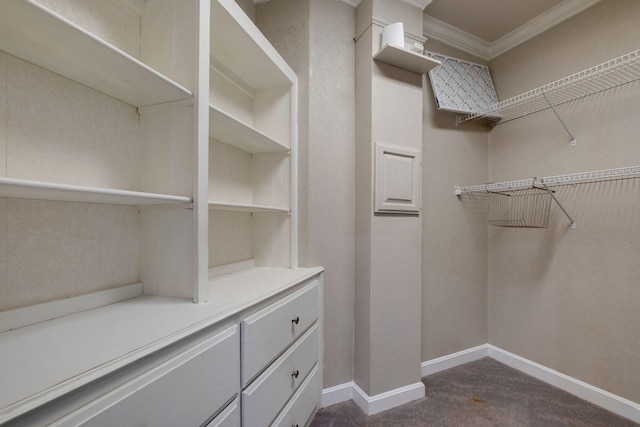 spacious closet featuring dark carpet