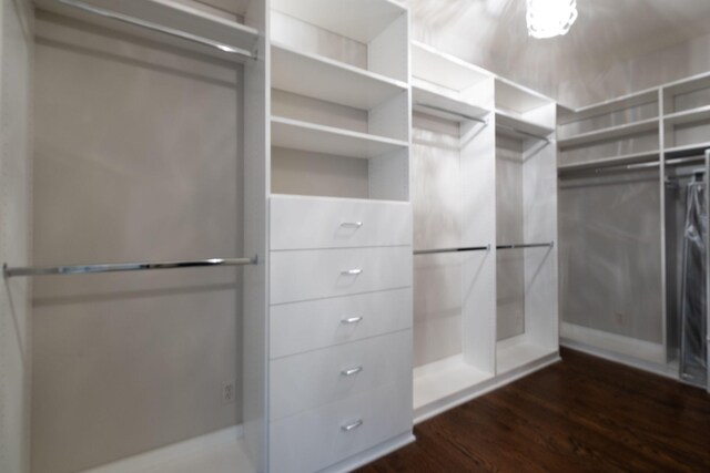 spacious closet with dark hardwood / wood-style flooring