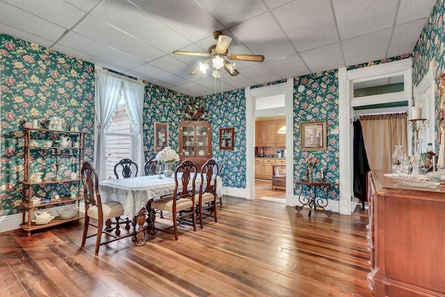 dining room with ceiling fan, hardwood / wood-style floors, and a drop ceiling