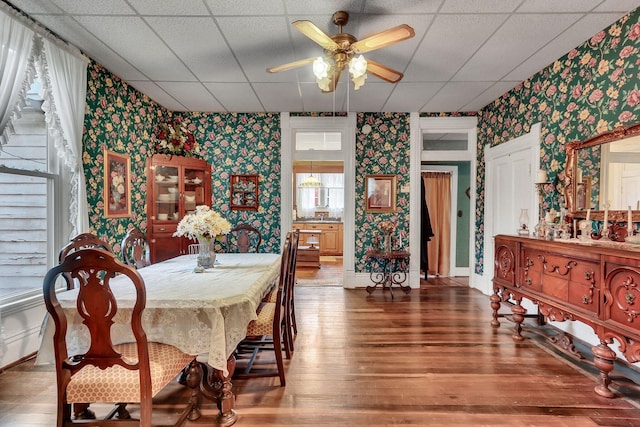 dining area with a paneled ceiling, hardwood / wood-style floors, and ceiling fan