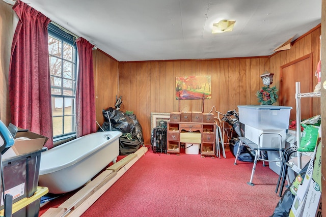 miscellaneous room with carpet floors, a wealth of natural light, and wood walls