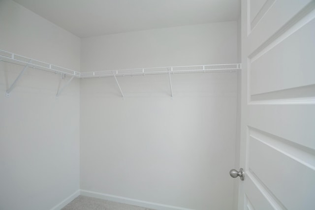 walk in closet featuring carpet