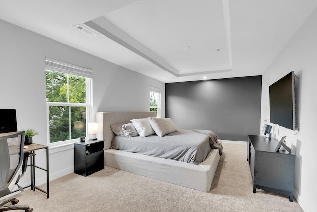 carpeted bedroom featuring a raised ceiling