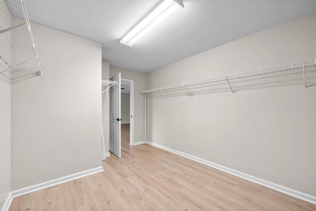 spacious closet featuring light wood-type flooring