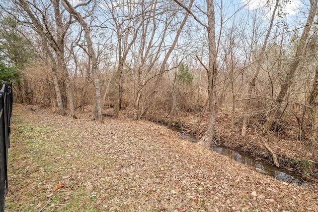 view of local wilderness