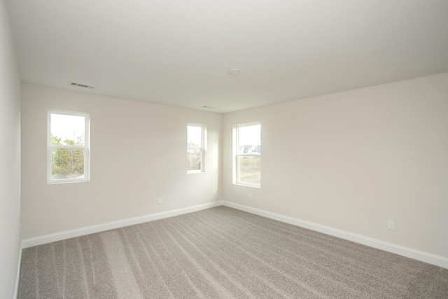 spare room with a wealth of natural light and carpet