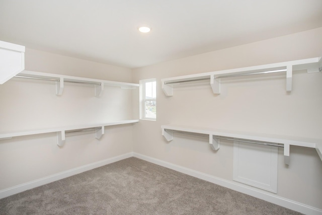 walk in closet with light carpet