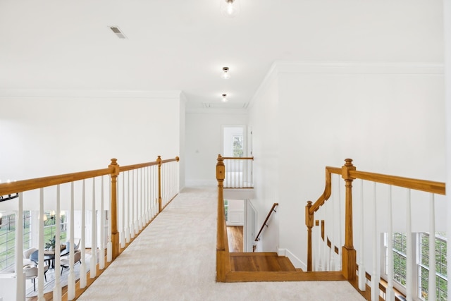 corridor with crown molding, light colored carpet, and a healthy amount of sunlight